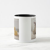Dog op vlees met kunststofeend mok (Midden)
