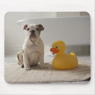 Dog op vlees met kunststofeend muismat
