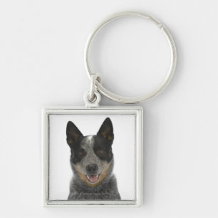 Dog op White 5 Sleutelhanger
