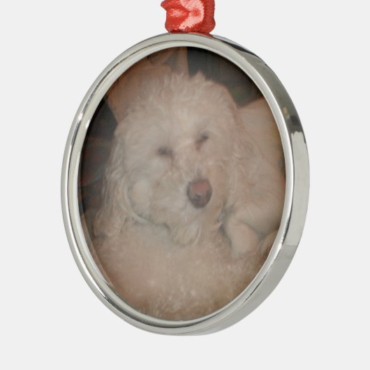 Dog Ornament (Links)