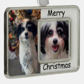 Dog Ornament, K-Cee Kerstmis Verzilverd Omlijst Ornament (Rechts)