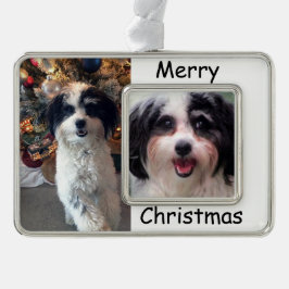 Dog Ornament, K-Cee Kerstmis Verzilverd Omlijst Ornament