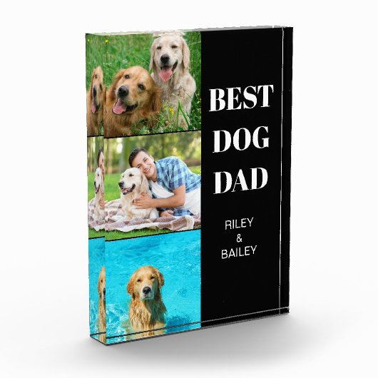 Dog Pa 3 Fotoblokken (Links)