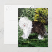 Dog Painting Old English Sheepdog Briefkaart (Voorkant / Achterkant)