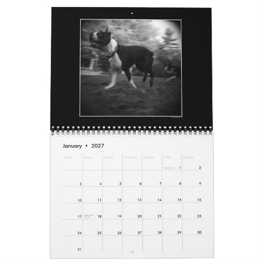 Dog park agenda 3 kalender (Jan 2027)