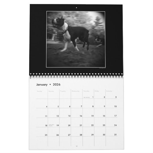 Dog park agenda 3 kalender (Jan 2026)