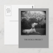 Dog Park Briefkaart 12 (Voorkant / Achterkant)