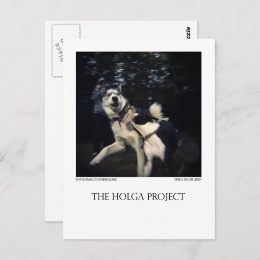 Dog Park Briefkaart 13 (Voorkant / Achterkant)