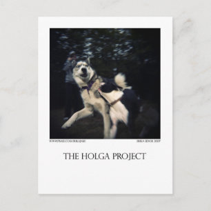 Dog Park Briefkaart 13