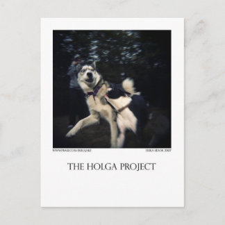 Dog Park Briefkaart 13