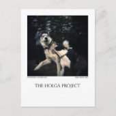 Dog Park Briefkaart 13 (Voorkant)