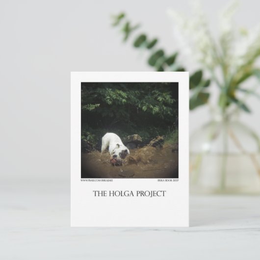 Dog Park Briefkaart 14 (Staand voorkant)