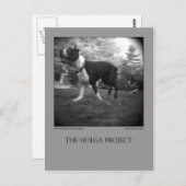 Dog Park Briefkaart 15 (Voorkant / Achterkant)