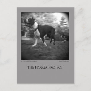 Dog Park Briefkaart 15