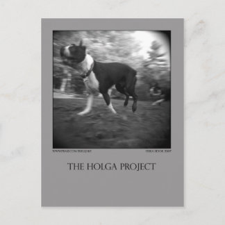 Dog Park Briefkaart 15