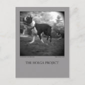 Dog Park Briefkaart 15 (Voorkant)