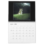 Dog Park Kleurkalender 2 Kalender (Mar 2026)