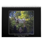 Dog Park Kleurkalender 2 Kalender (Hoes)