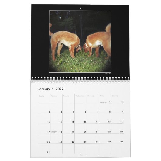 Dog Park Kleurkalender 2 Kalender (Jan 2027)