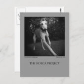 Dog Park Postcard 11 Briefkaart (Voorkant / Achterkant)