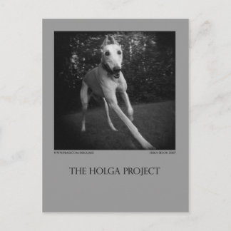 Dog Park Postcard 11 Briefkaart