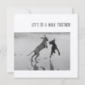 Dog Party of Pawty (Voorkant)