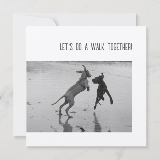 Dog Party of Pawty (Voorkant)