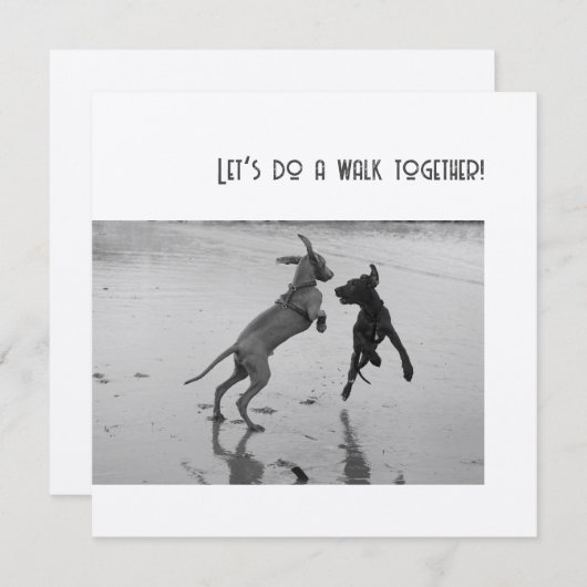 Dog Party of Pawty (Voorkant / Achterkant)