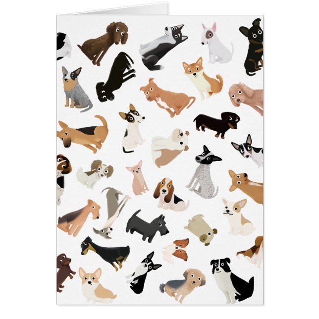 Dog Party pool (Voorkant)