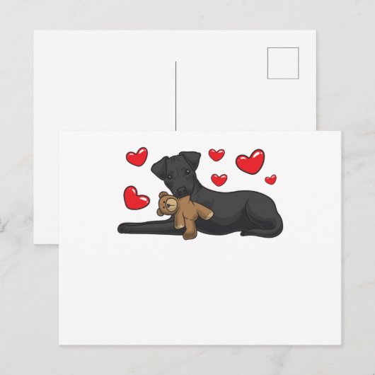Dog patterdale terrier met gevulde diertjes briefkaart (Voorkant / Achterkant)