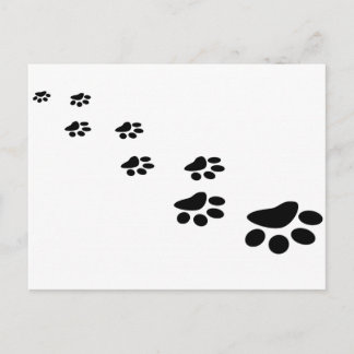 Dog Paw Briefkaart