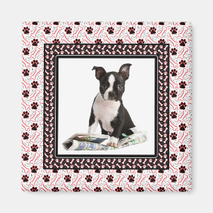 Dog Paw en Bone Pet Photo-sjabloon Magneet