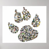 Dog Paw Print Collage (Voorkant)