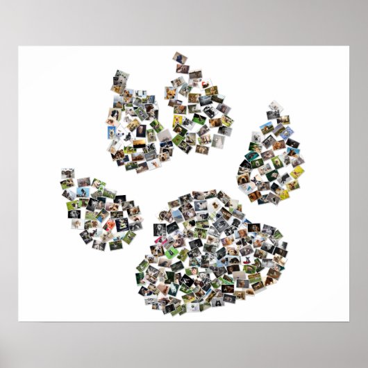 Dog Paw Print Collage (Voorkant)