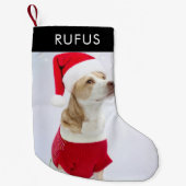 Dog Paw Theme Gepersonaliseerde Kerstmis Foto Kleine Kerstsok (Voorkant)