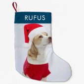 Dog Paw Theme Gepersonaliseerde Kerstmis Foto Kleine Kerstsok (Voorkant)
