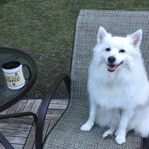 Dog Paw Typography Coffee Lover's Cute Specialty Mok