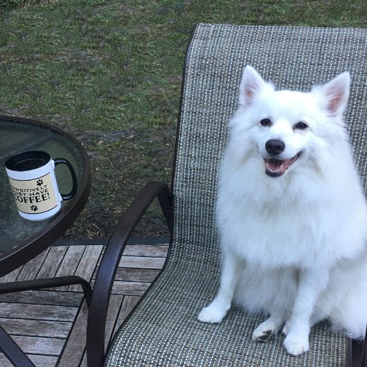 Dog Paw Typography Coffee Lover's Cute Specialty Mok