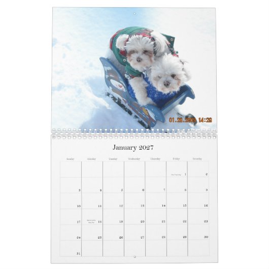Dog Pawfile Agenda 2010 Kalender (Jan 2027)