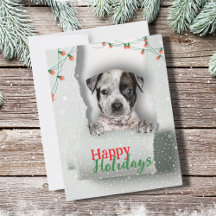 Dog Peeking Christmas Lights Holiday Kaart