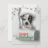Dog Peeking Christmas Lights Holiday Kaart (Voorkant)