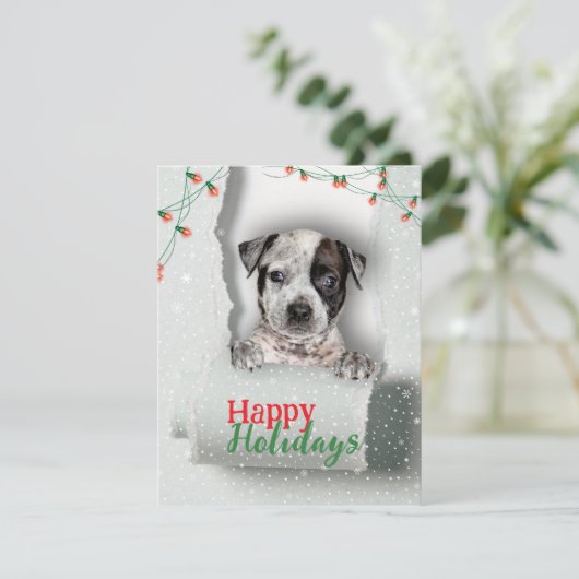 Dog Peeking Christmas Lights Holiday Kaart (Staand voorkant)