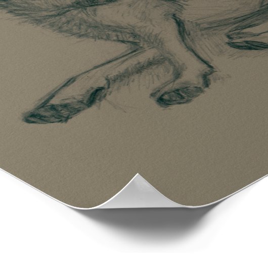 Dog. Pencil drawing. Poster (Hoek)