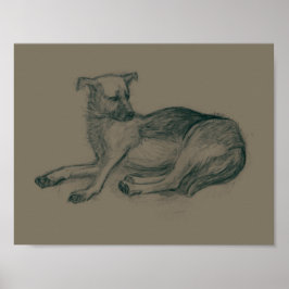 Dog. Pencil drawing. Poster