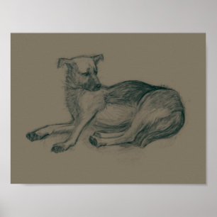 Dog. Pencil drawing. Poster