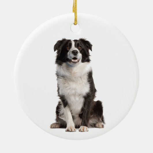 Dog Pet Animal Memorial - Aangepaste foto Keramisch Ornament (Achterkant)
