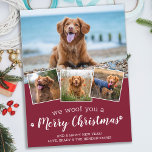 Dog Pet Foto Collage We houden van prettige kerst Briefkaart<br><div class="desc">We wilden je een prettige kerst geven. Verstuur leuke feestvreugde met deze superschattige persoonlijke, persoonlijke, persoonlijke feestelijke fotokaart. Vrolijk kerstwensen van de hond met schattige pootafdrukken in een leuk modern fotocollage-ontwerp. Voeg de foto's of familiefoto's van uw hond toe met de hond, en personaliseer met familienaam, bericht en jaar. Deze...</div>