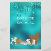 Dog Pet Grooming Sitting Business Glitter Flyer (Voorkant)