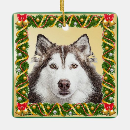 Dog Pet Ornament met kerstboom voor foto's (Voorkant)
