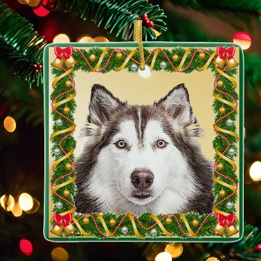 Dog Pet Ornament met kerstboom voor foto's